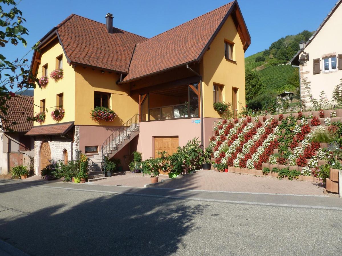 Schiefferberg Vakantiehuis Bernardvillé