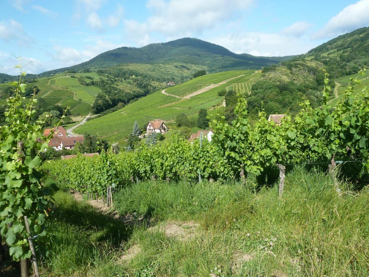 Schiefferberg * Bernardvillé