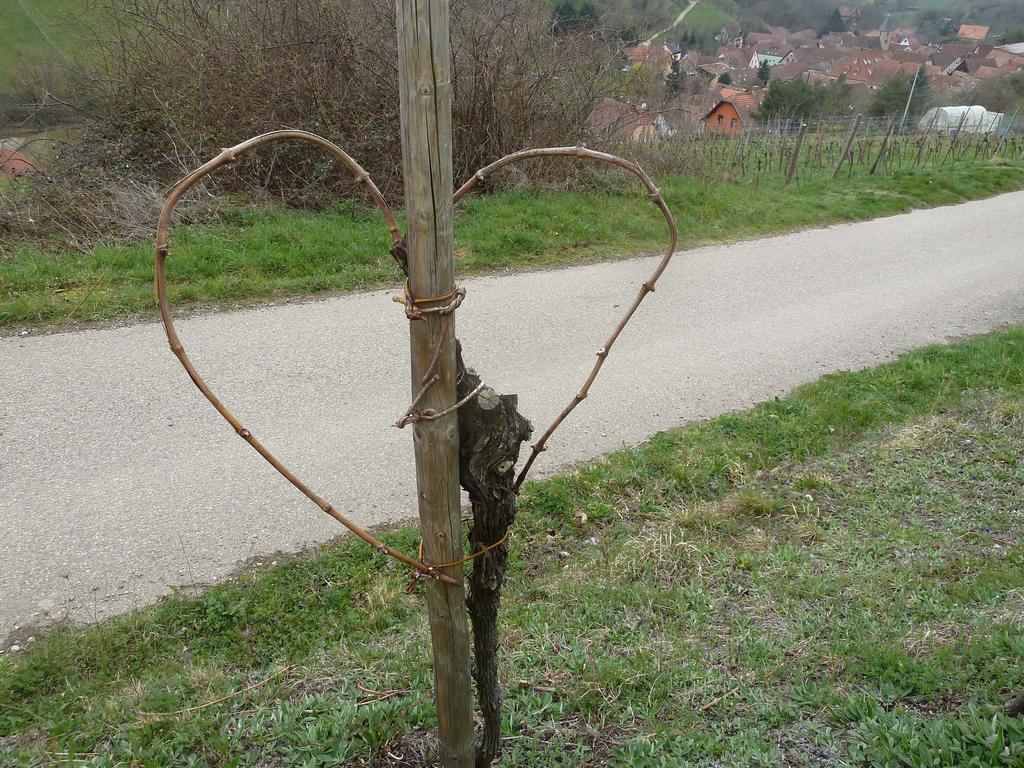 Vakantiehuis Schiefferberg Bernardvillé