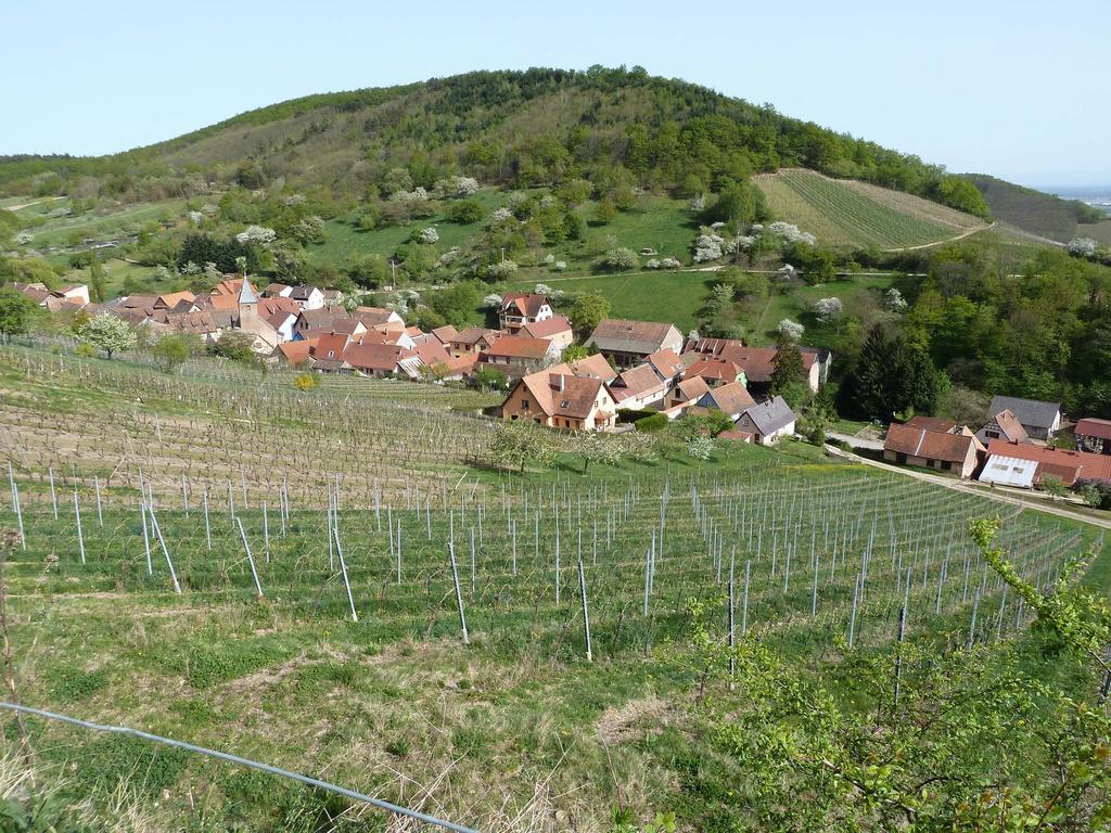 Holiday home Schiefferberg